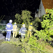 Dwa wyjazdy do przewróconych drzew. Strażacy w akcji