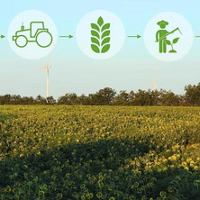 O problemach w rolnictwie ekologicznym. Pozostałości środków